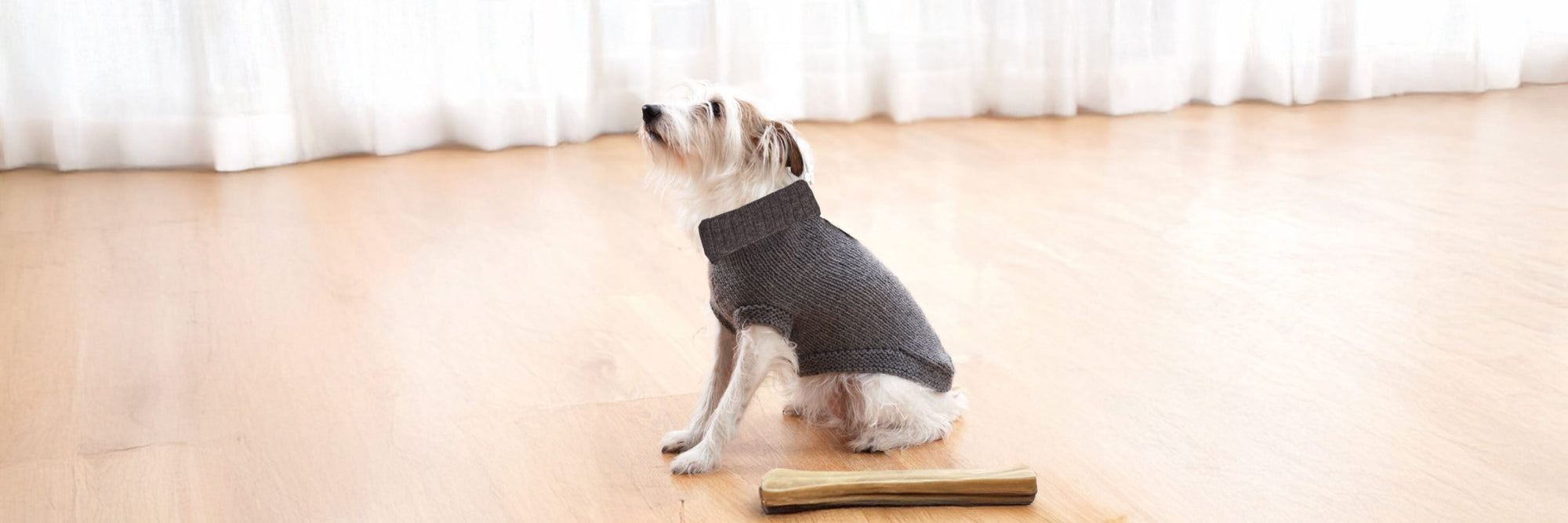 Pet Clothes
